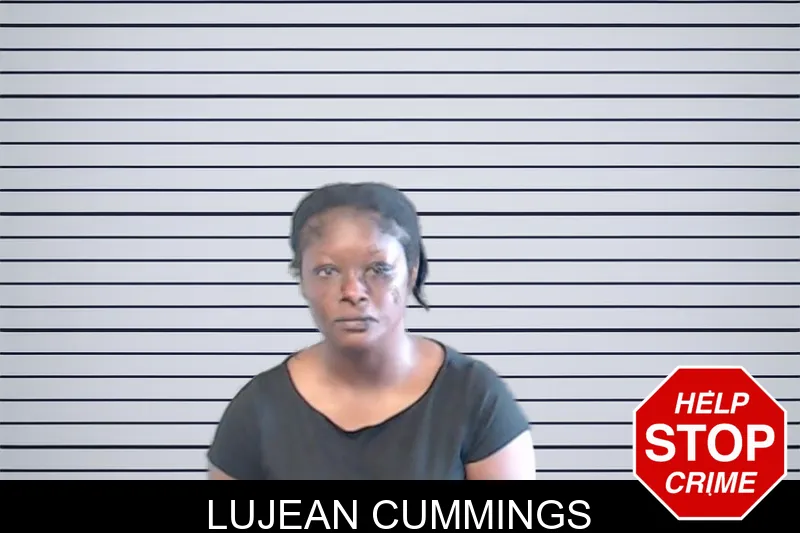 Lujean Cummings mugshot