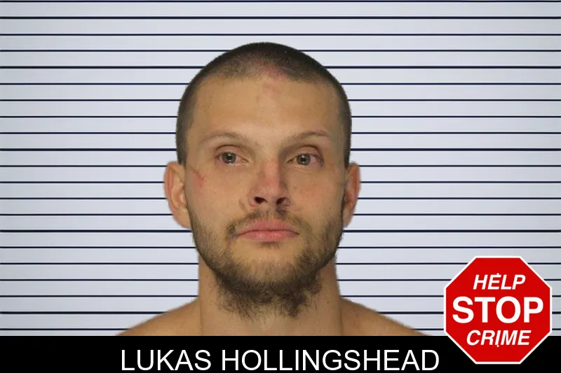 Lukas Hollingshead mugshot