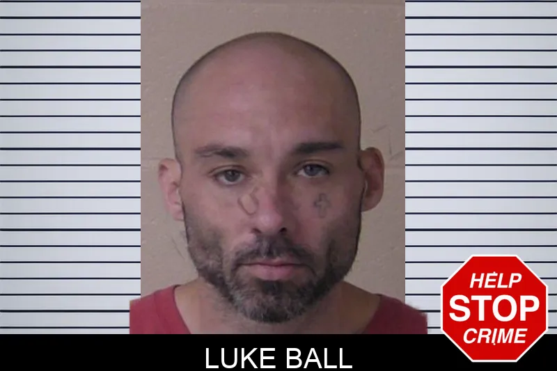 Luke Ball mugshot