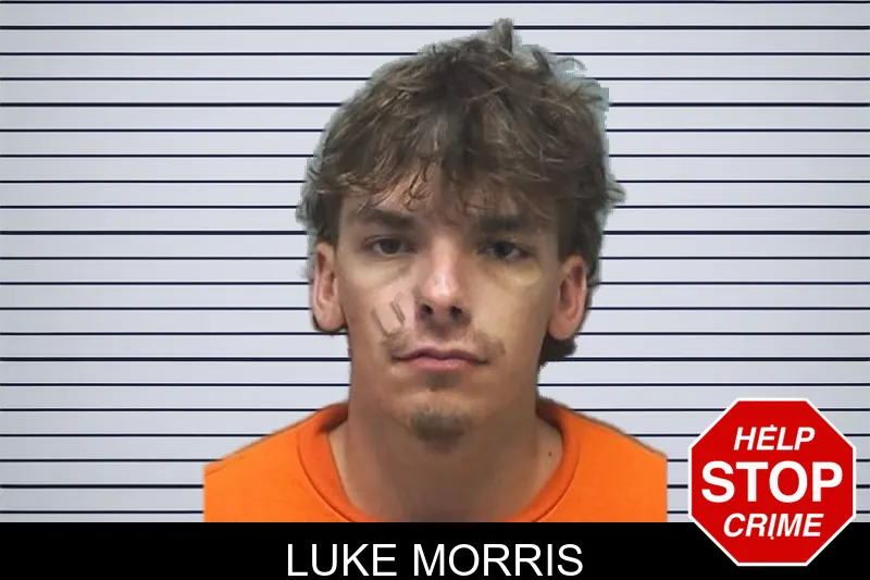 Luke Morris mugshot
