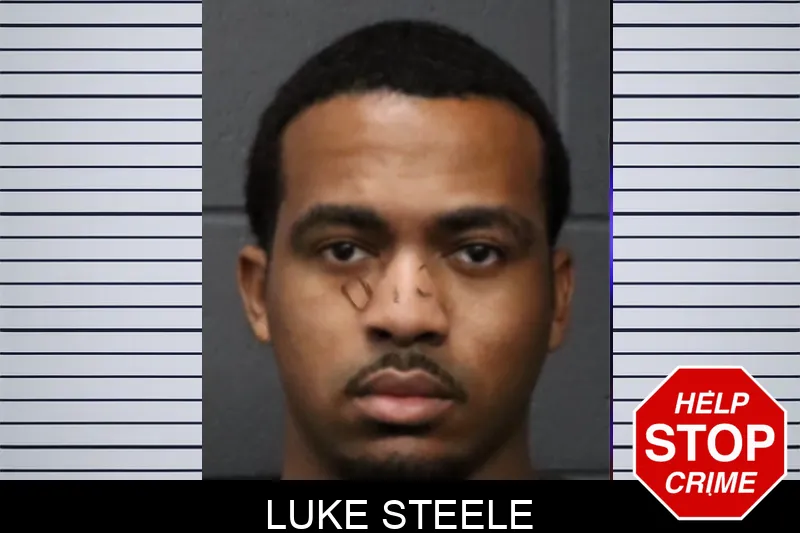 Luke Steele mugshot