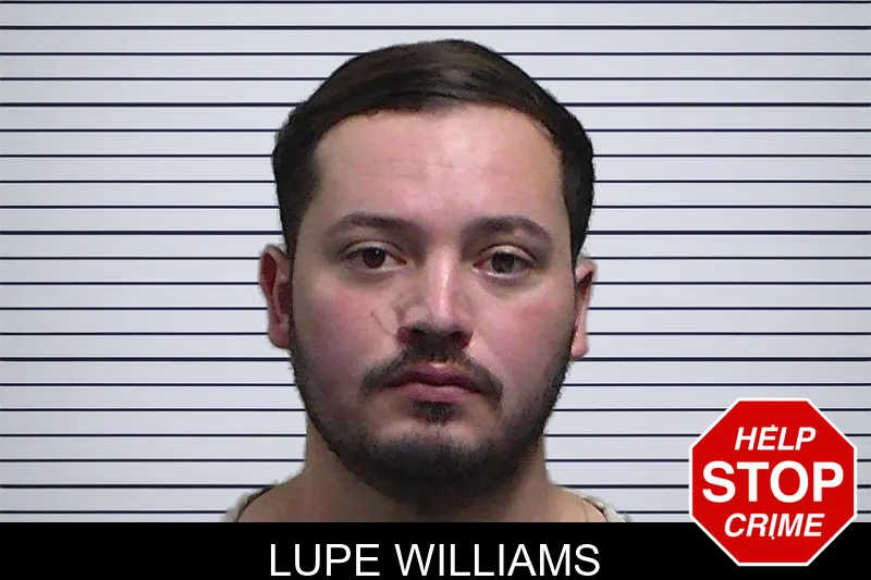 Lupe Williams mugshot