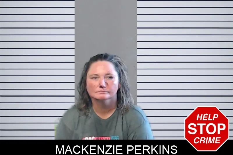 Mackenzie Perkins mugshot