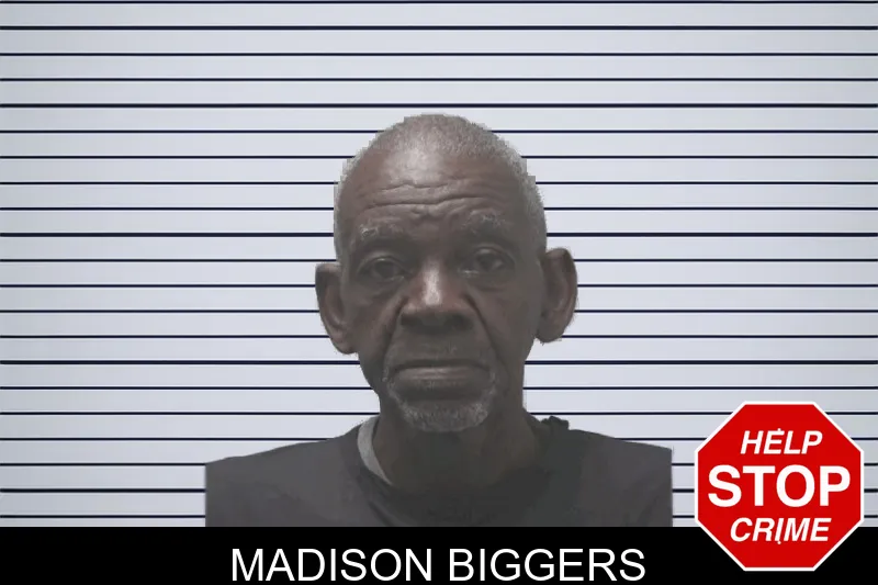 Madison Biggers mugshot