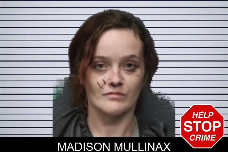 Madison Mullinax mugshot