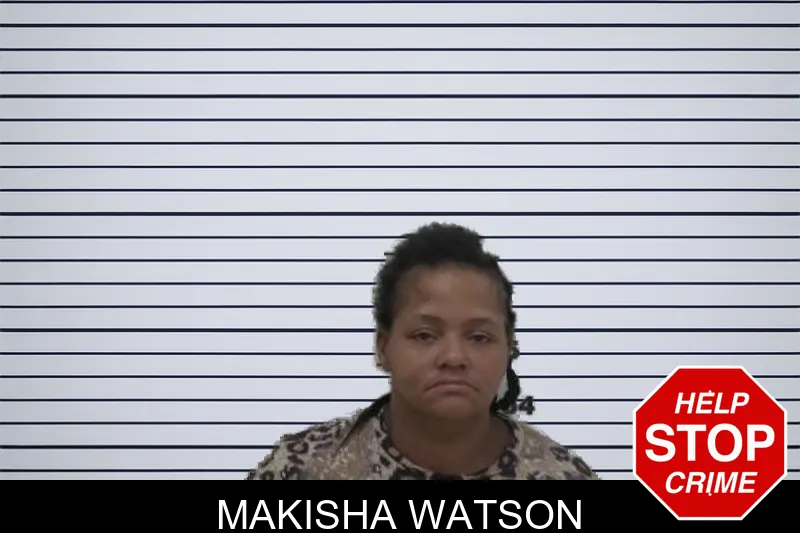 Makisha Watson mugshot