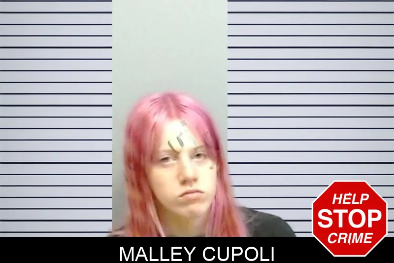 Malley Cupoli mugshot