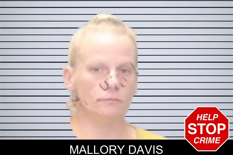 Mallory Davis mugshot
