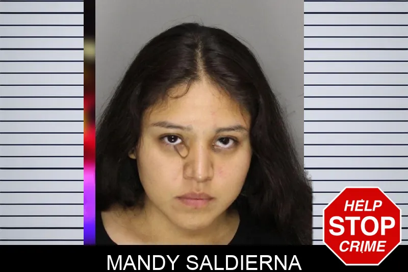 Mandy Saldierna mugshot
