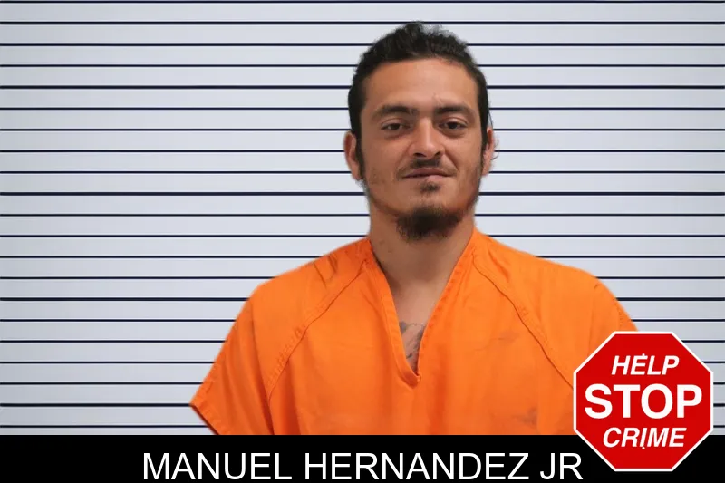 Manuel Hernandez Jr mugshot