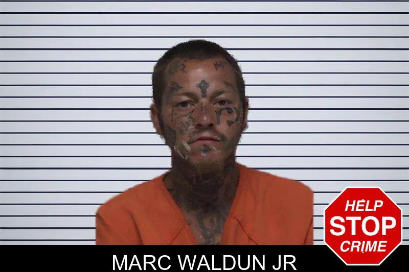 Marc Waldun Jr mugshot