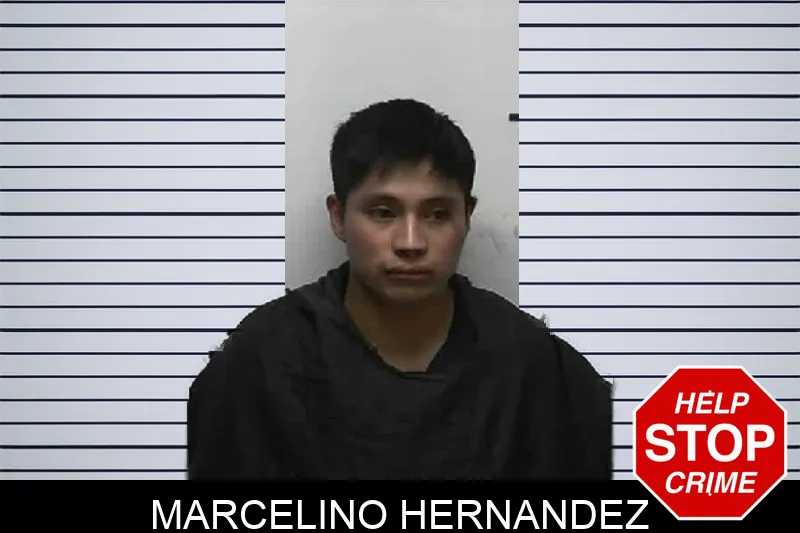 Marcelino Hernandez mugshot