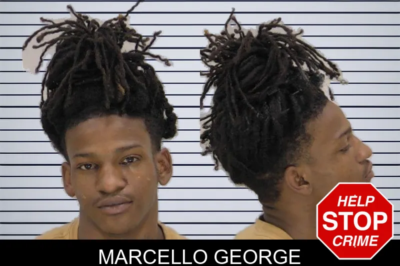 Marcello George mugshot
