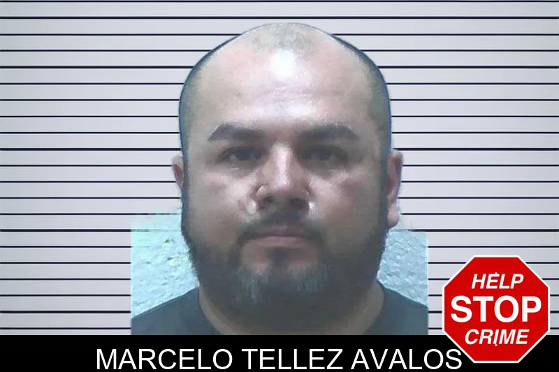 Marcelo Tellez Avalos mugshot