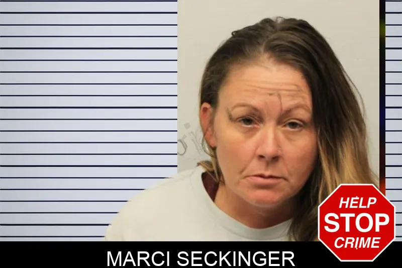 Marci Seckinger mugshot