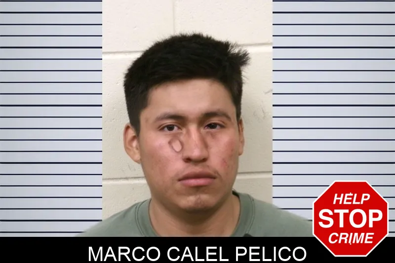 Marco Calel Pelico mugshot