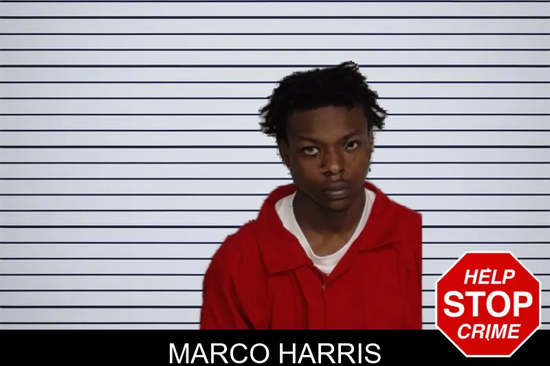 Marco Harris mugshot