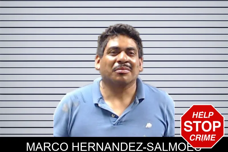 Marco Hernandez-Salmoes mugshot