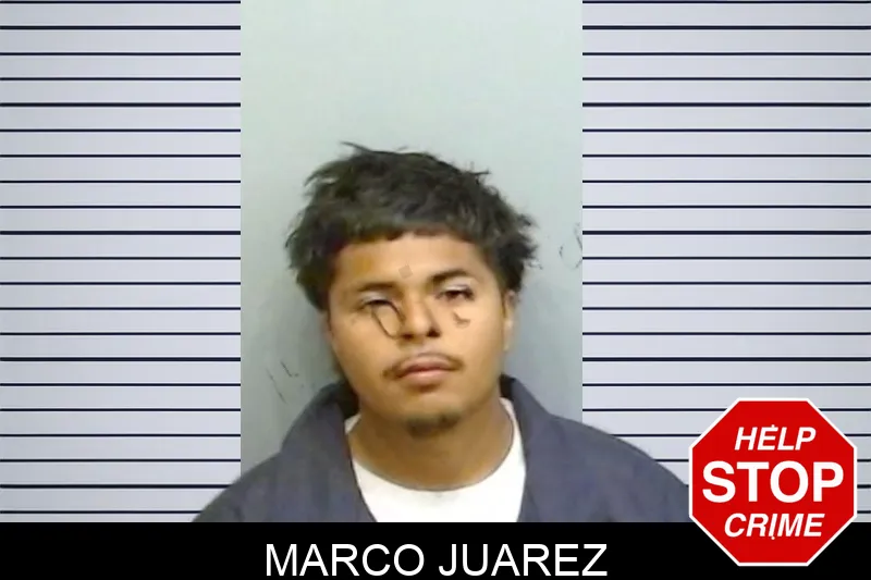 Marco Juarez mugshot