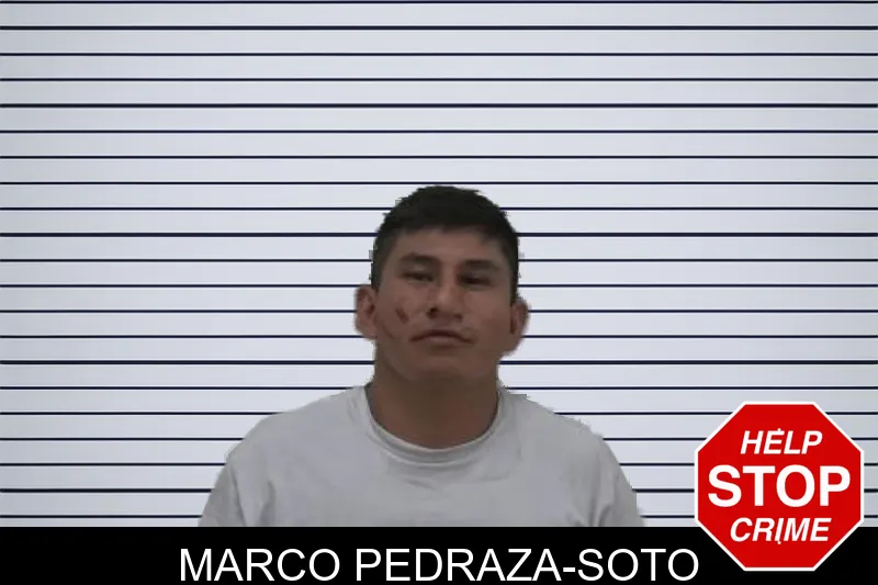 Marco Pedraza-Soto mugshot