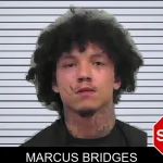 Marcus Bridges mugshot