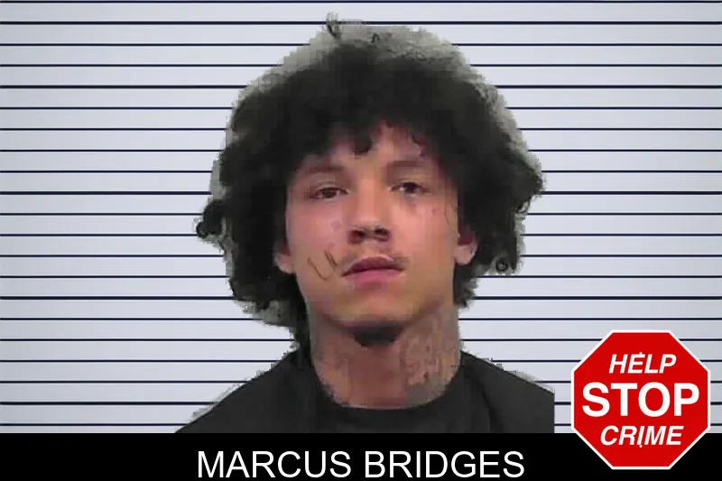 Marcus Bridges mugshot