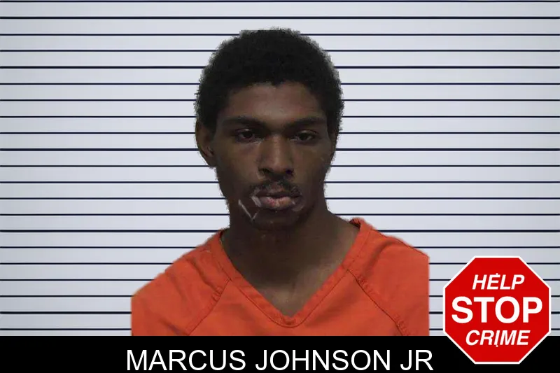 Marcus Johnson Jr mugshot