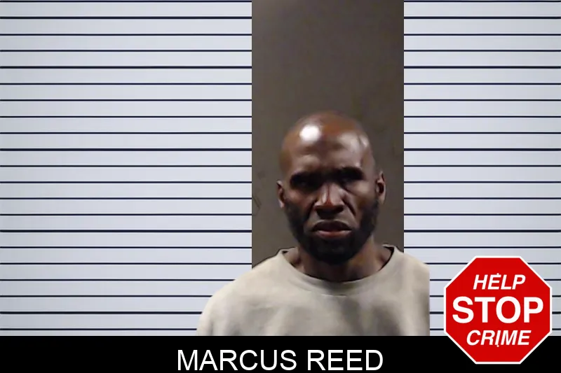 Marcus Reed mugshot