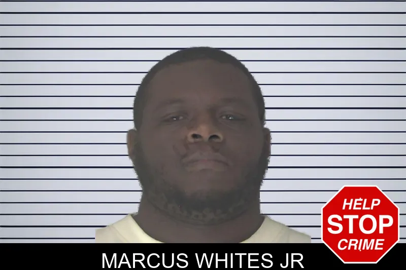 Marcus Whites Jr mugshot