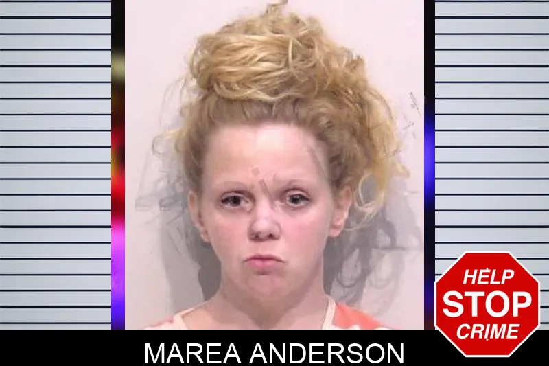 Marea Anderson mugshot
