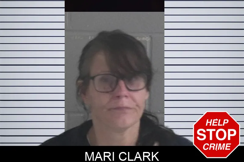 Mari Clark mugshot