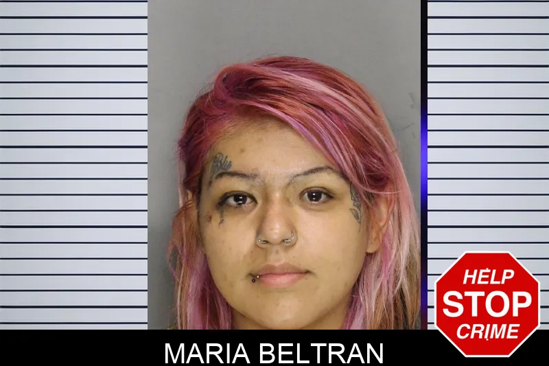 Maria Beltran mugshot – Cobb County , Georgia Maria Beltran mugshot