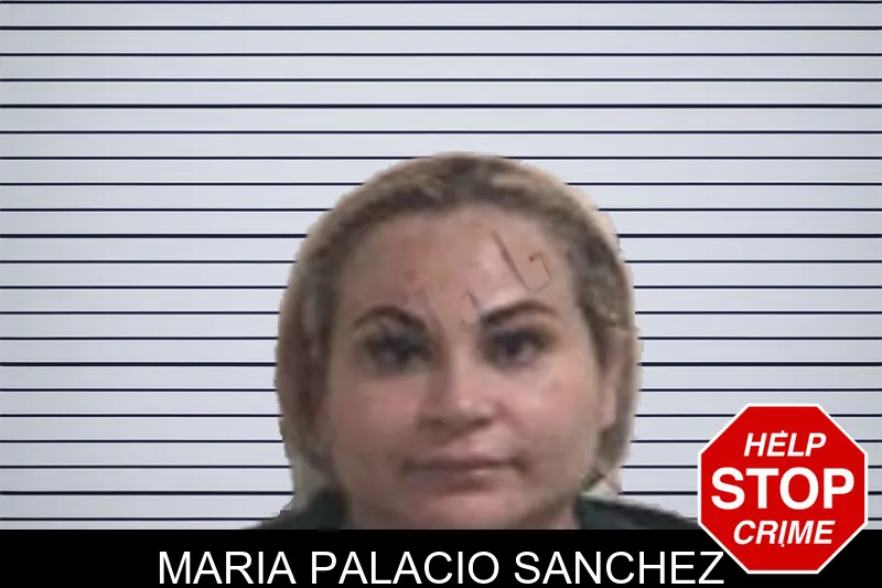 Maria Palacio Sanchez mugshot