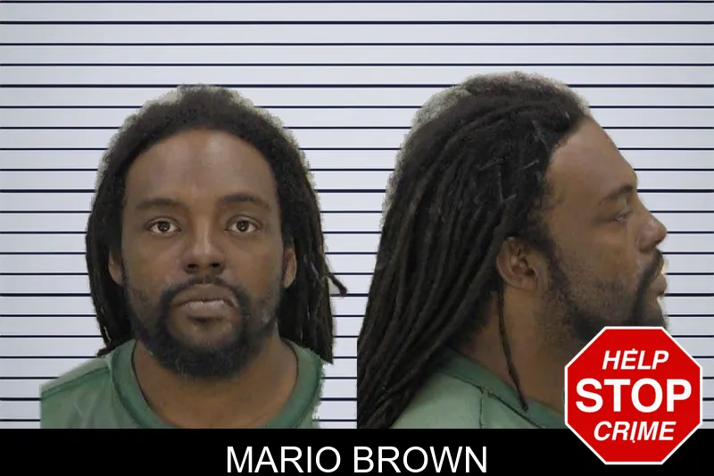 Mario Brown mugshot