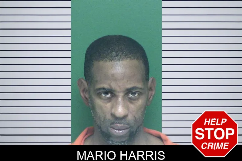 Mario Harris mugshot