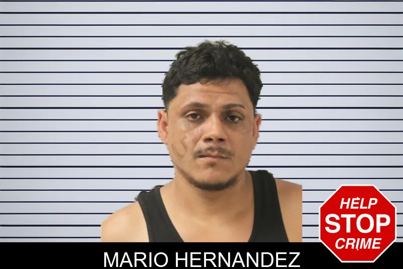 Mario Hernandez mugshot