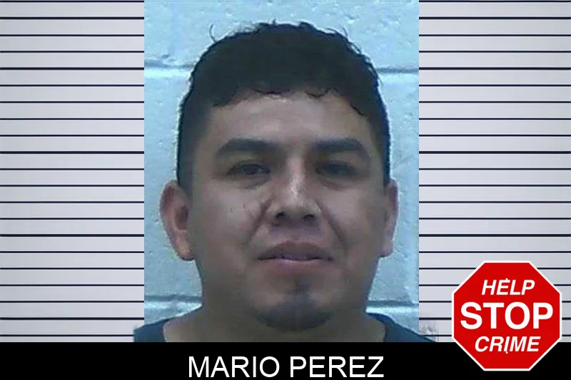 Mario Perez mugshot