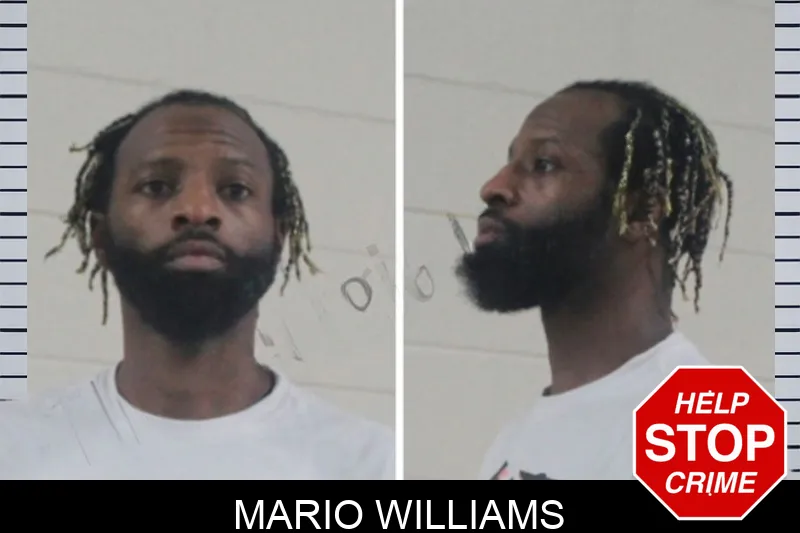 Mario Williams mugshot – Houston County , Georgia Mario Williams mugshot