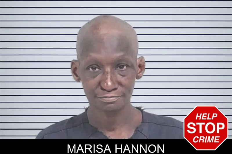 Marisa Hannon mugshot