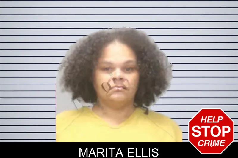 Marita Ellis mugshot