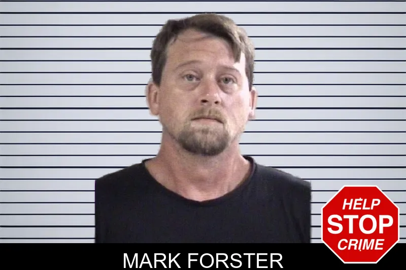 Mark Forster mugshot