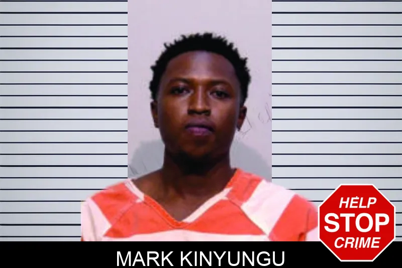 Mark Kinyungu mugshot – Bartow County , Georgia Mark Kinyungu mugshot