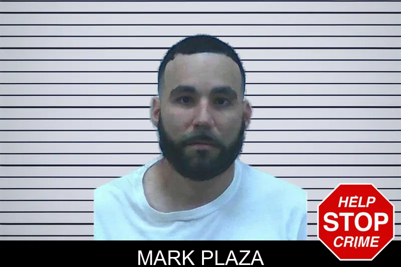 Mark Plaza mugshot