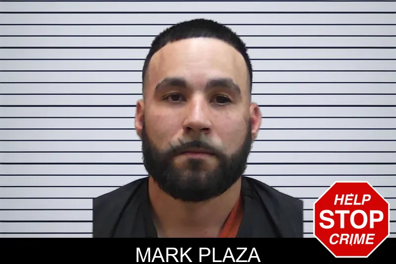 Mark Plaza mugshot