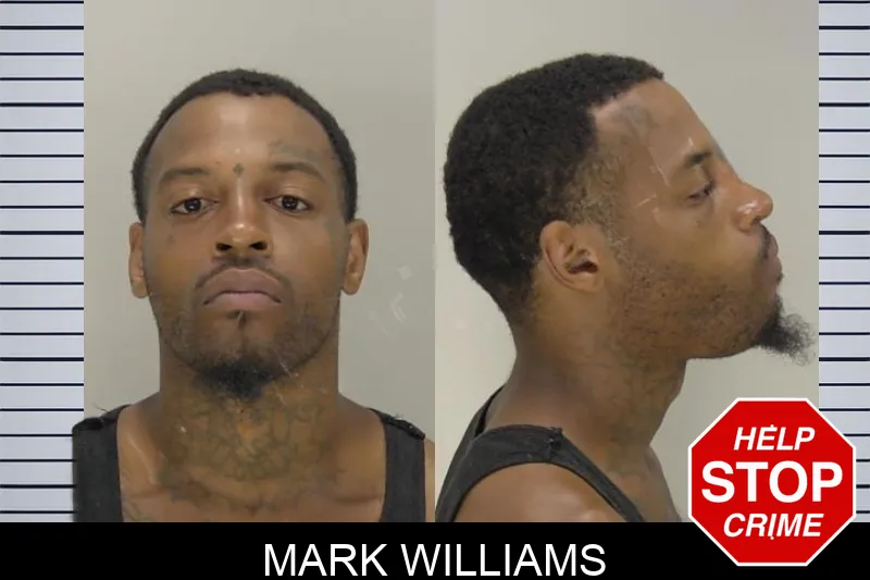 Mark Williams mugshot