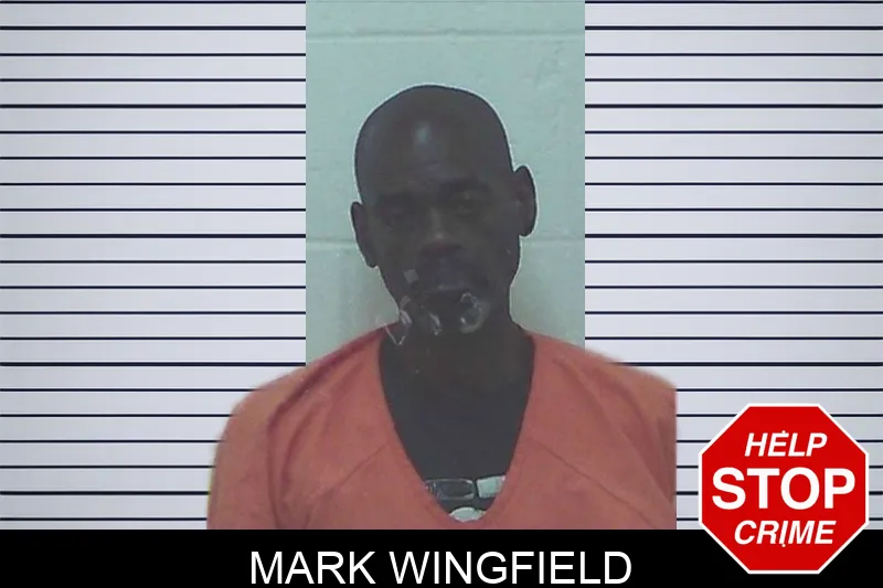 Mark Wingfield mugshot