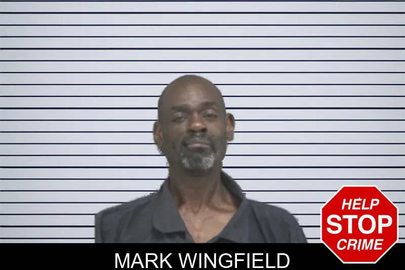Mark Wingfield mugshot