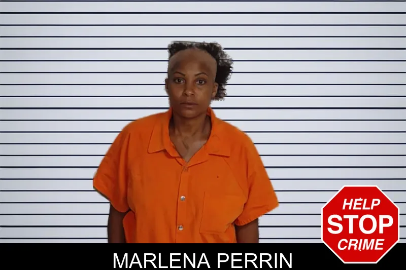 Marlena Perrin mugshot