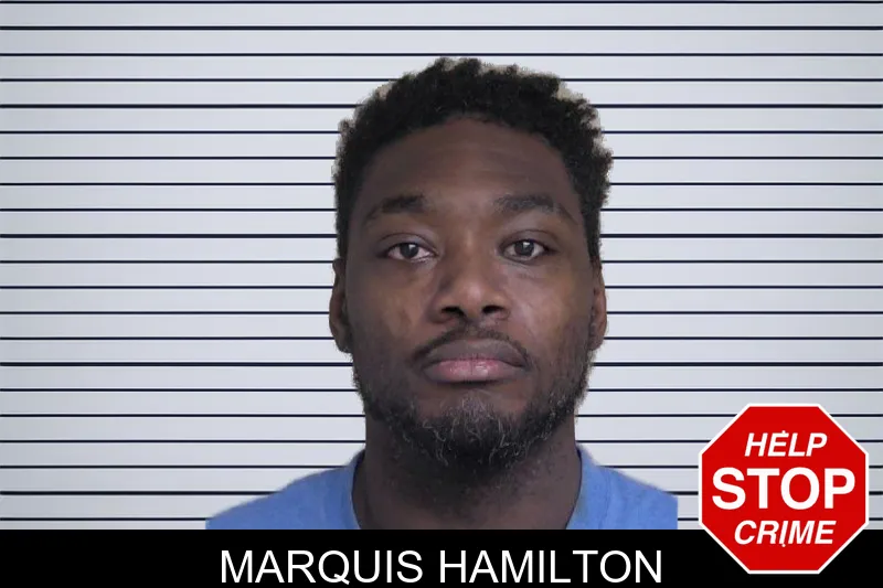 Marquis Hamilton mugshot