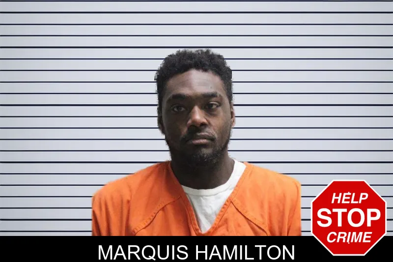Marquis Hamilton mugshot